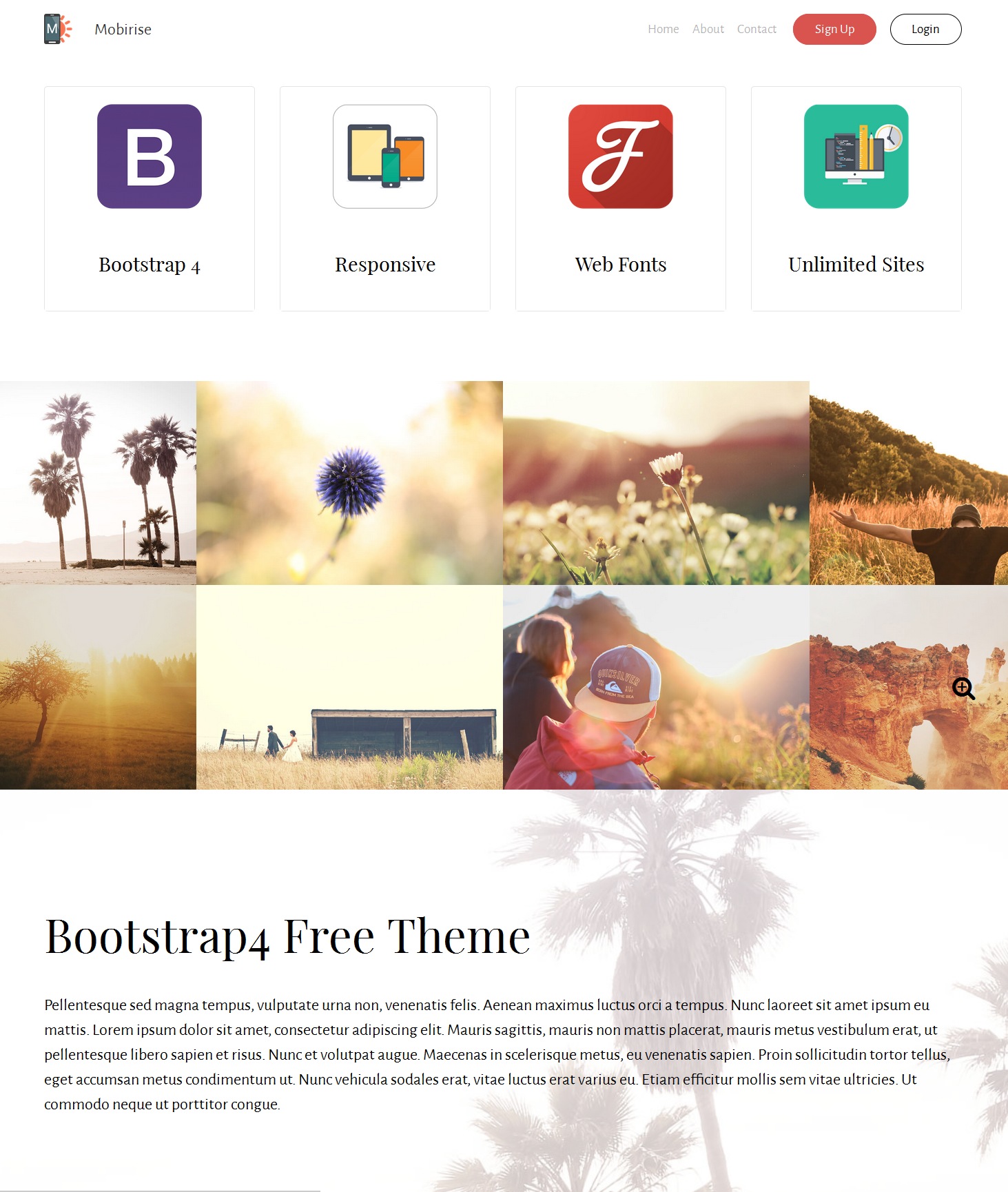 Mobile Bootstrap Landing Page Theme